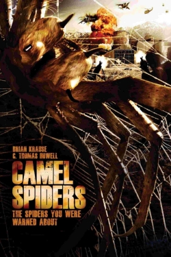 watch-Camel Spiders