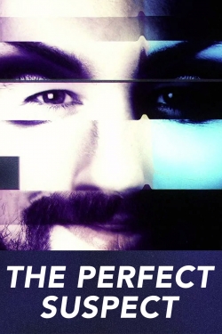 watch-The Perfect Suspect