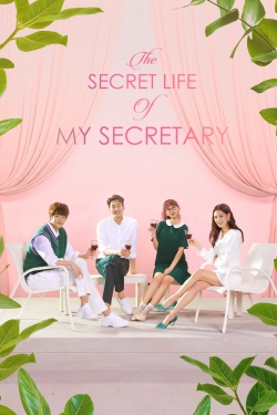 watch-The Secret Life of My Secretary