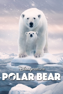 watch-Polar Bear