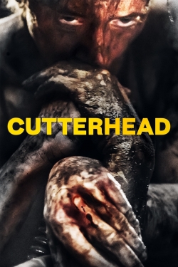 watch-Cutterhead